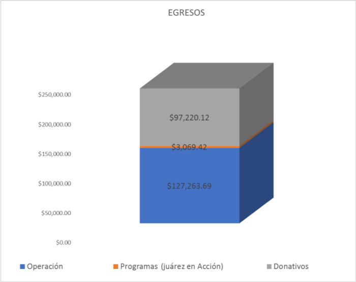 Fundación Paso del Norte, Egresos/Expenses 2016