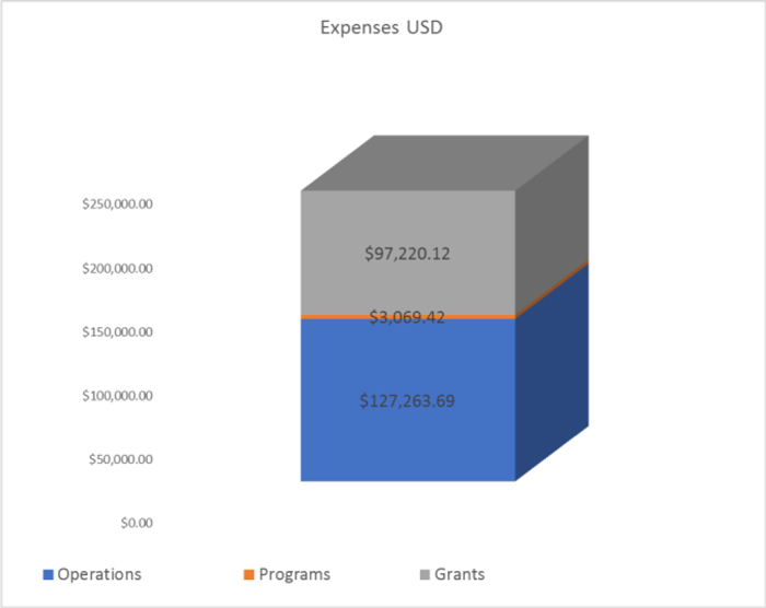 Fundación Paso del Norte, Egresos/Expenses 2016